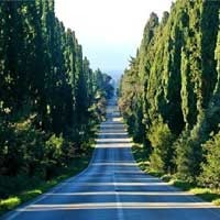 Fotografia Fotografia