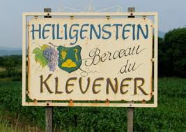Il vitigno noto con il nome di Klevener de Heiligenstein