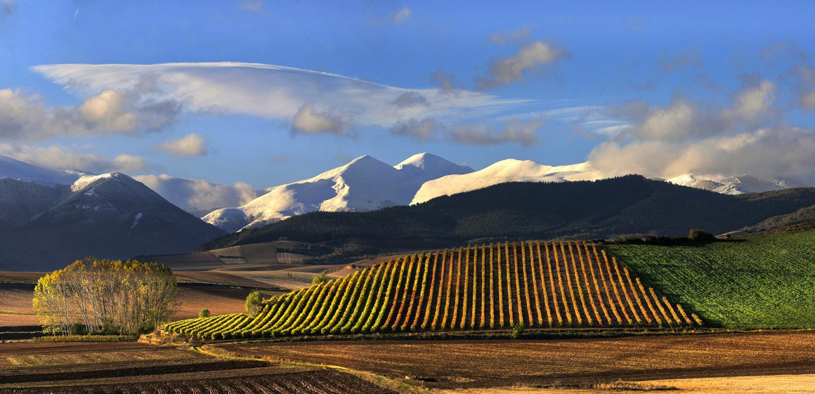 Panorama Rioja