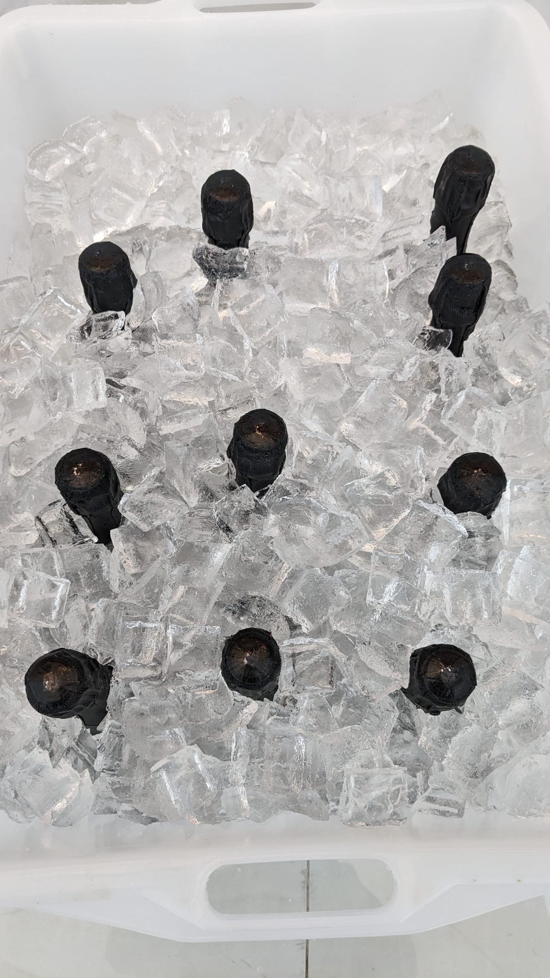 le bottiglie in ghiaccio per la degustazione