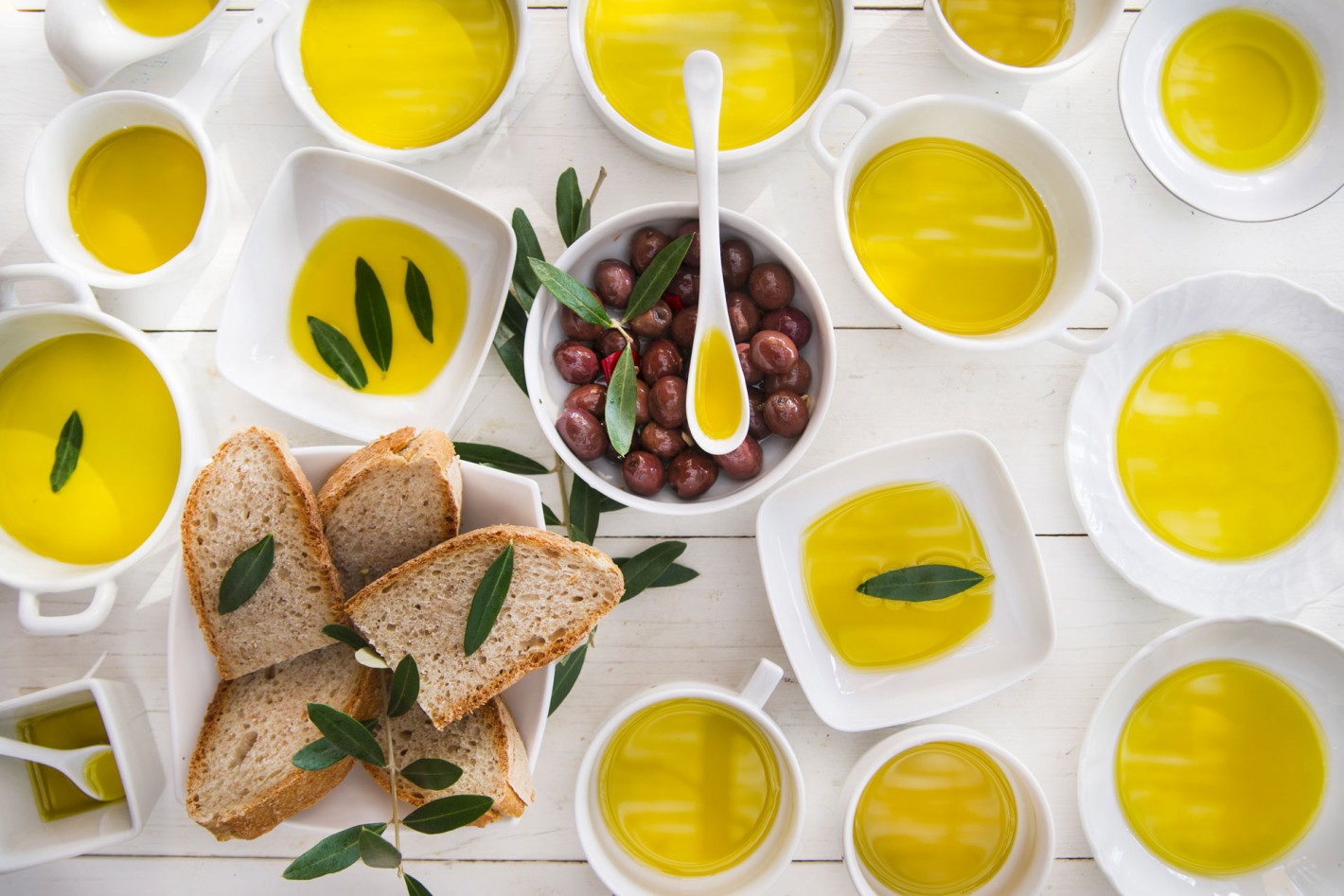 L'OLIO EVO L'OLIO EVO