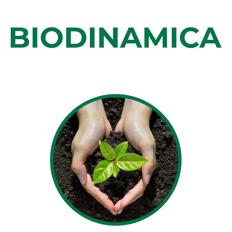 Biodinamica - Il Grande Mito della Biodinamica