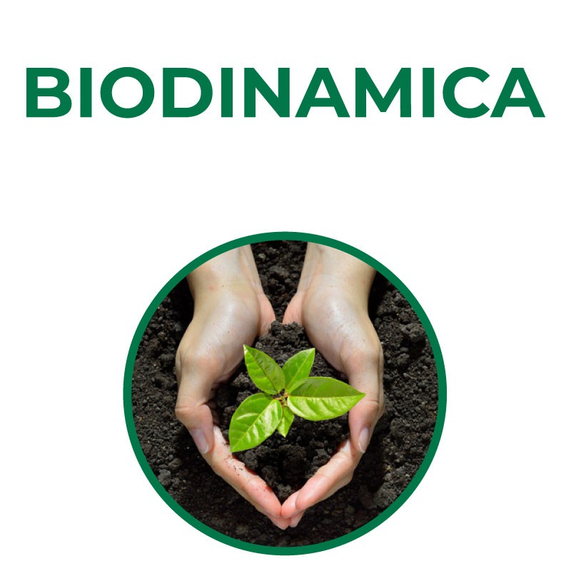 Corso sulla Biodinamica