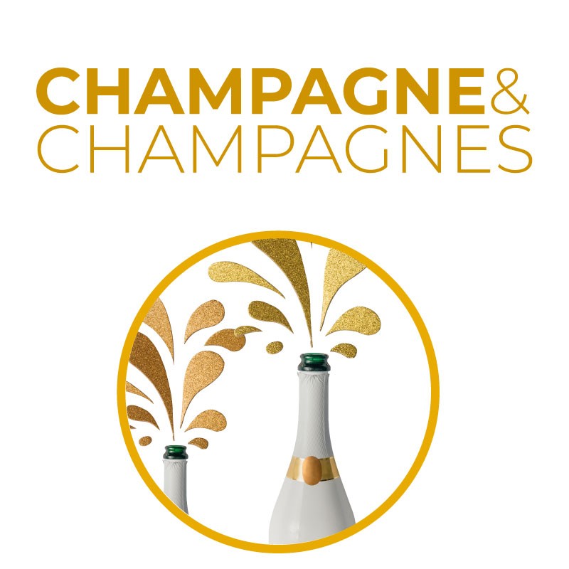 Champagne & Champagnes - Lo Champagne: il vino più importante del mondo analizzato e sviscerato in un percorso didattico unico.