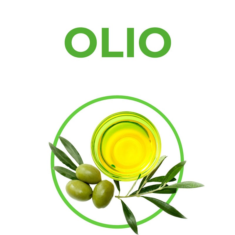 Il Corso per Sommelier dell'Olio Extravergine di Oliva