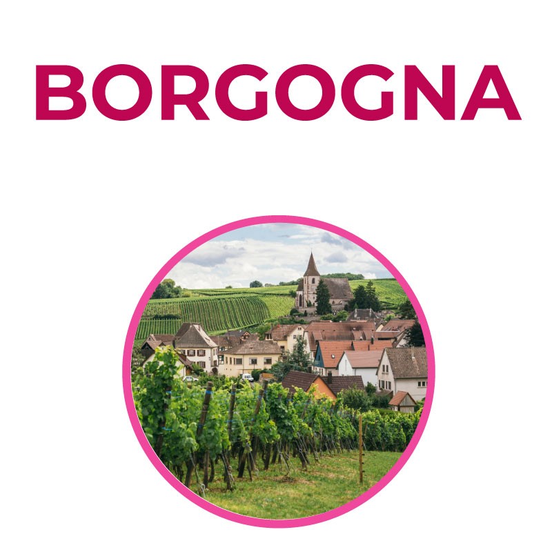 Borgogna - Comprendere la Borgogna significa percorrerne i territori attraverso l’ancestrale esasperazione del concetto di terroir