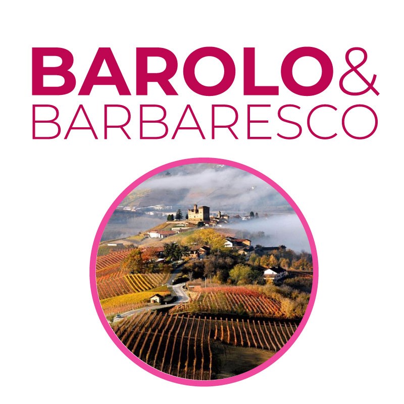 Barolo & Barbaresco - Il fascino del cuore delle Langhe. Barolo e Barbaresco costituiscono miti senza tempo e un costante universo in moto