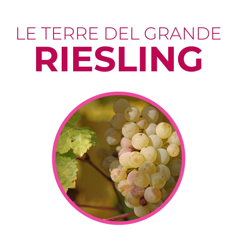 Corso Le Terre del Grande Riesling