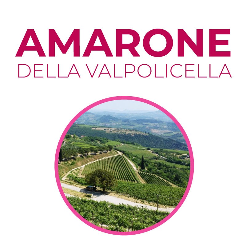 Amarone della Valpolicella - Il territorio, i vitigni tradizionali, le differenti sfaccettature che caratterizzano i vini prodotti e la realtà di tanti eccellenti produttori