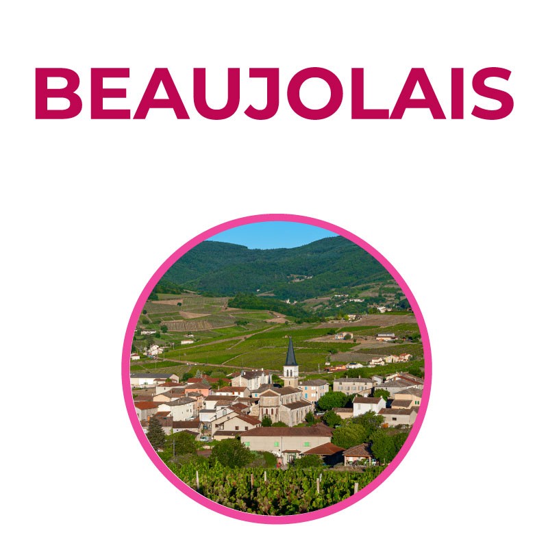 Il Grande Beaujolais - Il nuovo Beaujolais è arrivato: per scoprire territori, vitigni e vigneron che testimoniano un nuovo spessore e un nuovo appeal di grande fascino