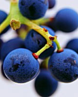 Fotografia Fotografia