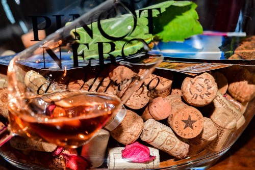 Oltrepò Pavese: terra di Pinot Nero Oltrepò Pavese: terra di Pinot Nero