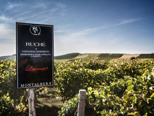 Montalbera: le tre sfumature del Ruché Montalbera: le tre sfumature del Ruché