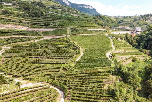 Bibenda Viaggi: Viaggio in Trentino