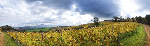 Bibenda Viaggi: una giornata in Maremma