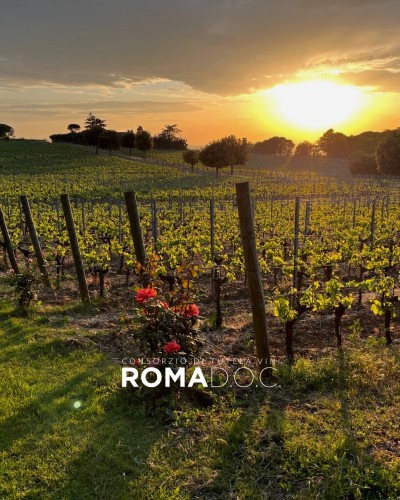 Roma Doc la selezione Roma Doc la selezione