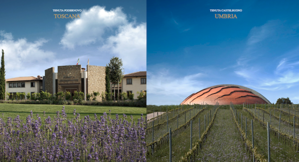 Tenute Lunelli: doppia verticale di Montefalco Sagrantino Carapace e Teuto Tenute Lunelli: doppia verticale di Montefalco Sagrantino Carapace e Teuto