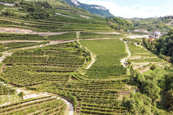 Bibenda Viaggi: Viaggio in Trentino, tra l’azzurro del cielo e l’imponenza delle Dolomiti