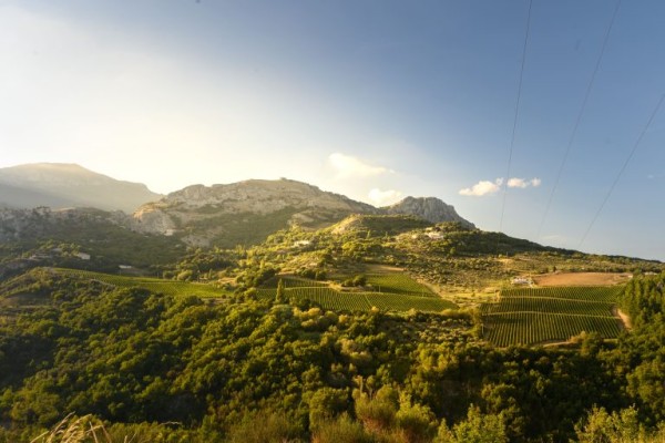 Pasetti: dalla collina alla montagna d’Abruzzo Pasetti: dalla collina alla montagna d’Abruzzo