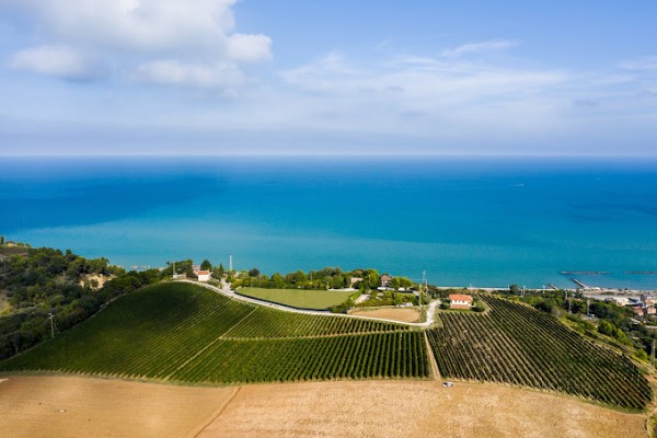 Terra Fageto: il giardino delle Marche Terra Fageto: il giardino delle Marche