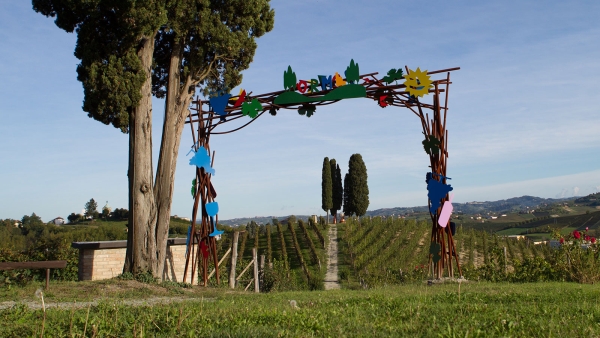 Michele Chiarlo: i tre Cru Cerequio, Asili e La Court per tre annate Michele Chiarlo: i tre Cru Cerequio, Asili e La Court per tre annate
