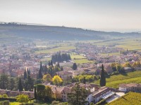 Corso sull'Amarone della Valpolicella Corso sull'Amarone della Valpolicella