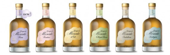 Le Grappe di Moscato Le Grappe di Moscato