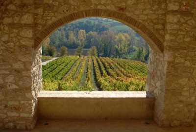 La vista sui vigneti dall'azienda Santo Iolo La vista sui vigneti dall'azienda Santo Iolo