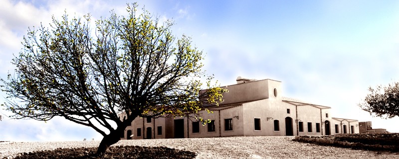 Veduta della nuova cantina della Baglio del Cristo di Campobello Veduta della nuova cantina della Baglio del Cristo di Campobello