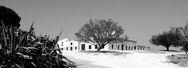 Veduta della nuova cantina della Baglio del Cristo di Campobello Veduta della nuova cantina della Baglio del Cristo di Campobello