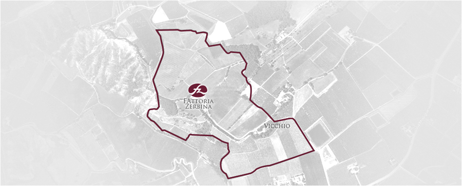 La mappa della Fattoria Zerbina La mappa della Fattoria Zerbina