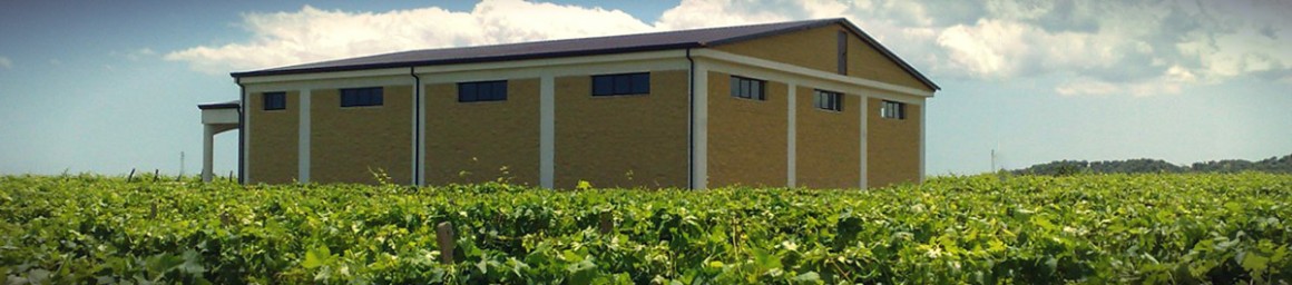 Le vigne dell'azienda Cote de Franze Le vigne dell'azienda Cote de Franze