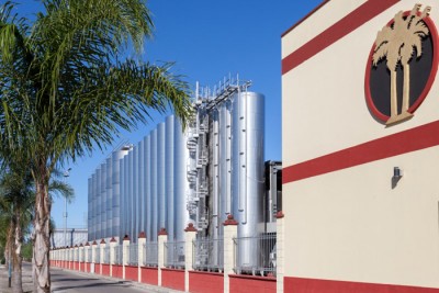 L'azienda Cantine Due Palme L'azienda Cantine Due Palme