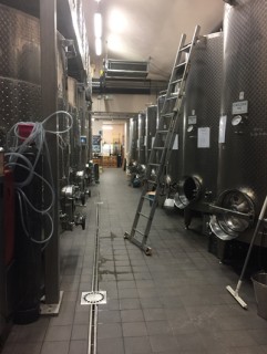La cantina di Podere dell’Anselmo La cantina di Podere dell’Anselmo
