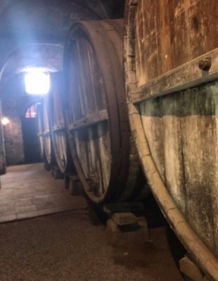 Le cantine delle aziende sull'Etna Le cantine delle aziende sull'Etna