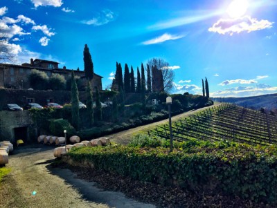 L'azienda Querciabella di Greve in Chianti L'azienda Querciabella di Greve in Chianti