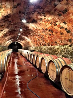 La cantina dell'azienda Querciabella La cantina dell'azienda Querciabella