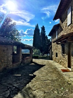 L'azienda Querciabella L'azienda Querciabella
