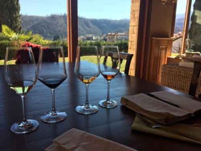 I vini dell'azienda Masari I vini dell'azienda Masari