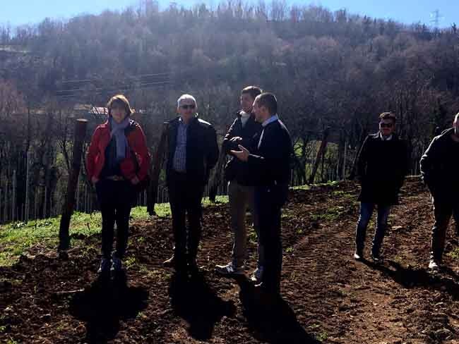 La visita alle vigne dell'azienda Masari La visita alle vigne dell'azienda Masari