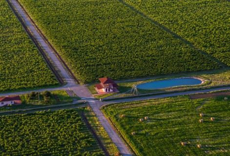 Arba Wine Arba Wine
