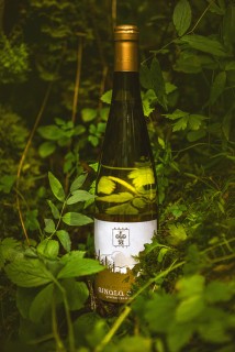 Ainala Arba Gewurztraminer 2015 Ainala Arba Gewurztraminer 2015