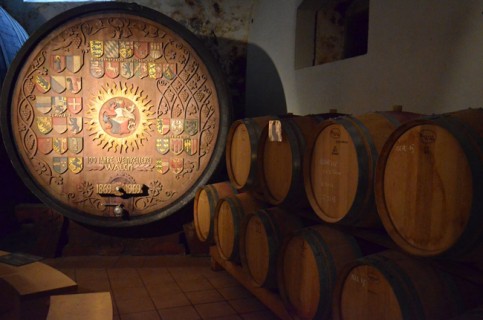 Kastelaz e Castel Ringberg, la cantina di Elena Walch Kastelaz e Castel Ringberg, la cantina di Elena Walch