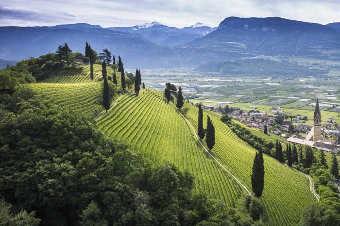 Kastelaz e Castel Ringberg, torri, chiese, castelli e vigne, la magia dell’Alto Adige nei cru di Elena Walch Kastelaz e Castel Ringberg, torri, chiese, castelli e vigne, la magia dell’Alto Adige nei cru di Elena Walch