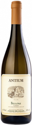 Bellone Antium 2015 Bellone Antium 2015