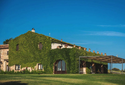 L'azienda Castello del Terriccio L'azienda Castello del Terriccio
