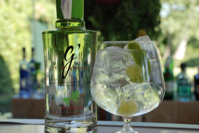 Gin? Sì, ma nato in vigna / La ricetta del Gin Tonic