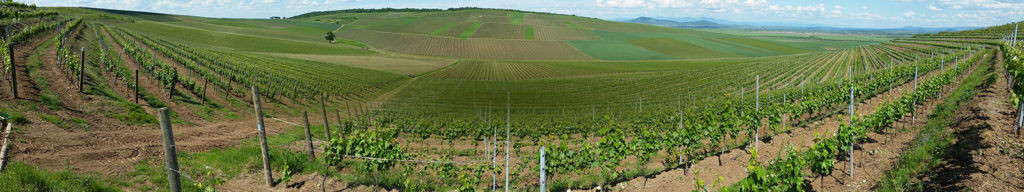 Genagricola Genagricola