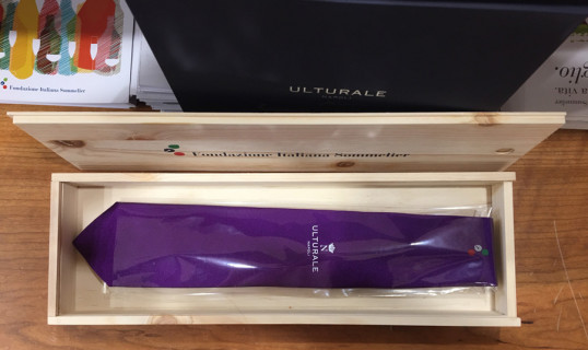 Cravatta di Fondazione Italiana Sommelier Cravatta di Fondazione Italiana Sommelier
