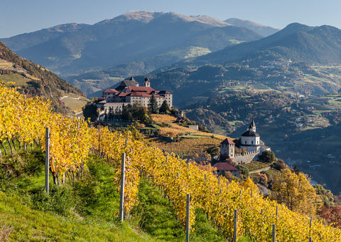 Alto Adige nel calice Alto Adige nel calice